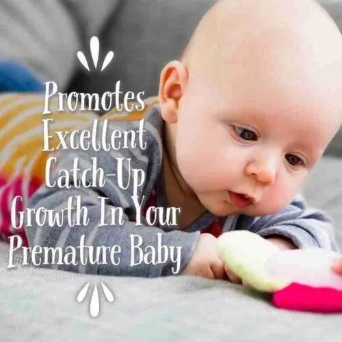 Similac NeoSure Premature Infant Formula