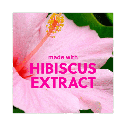 Tree Hut Pink Hibiscus Shea Sugar Scrub - 510g(18fl.oz)