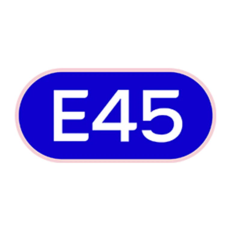 e45 Brand Logo